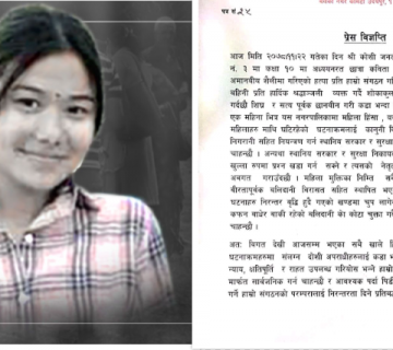 'एक महिनायता बेलकामा महिला हिंसाका घटना धेरै भइसके, समाधान बेलैमा पहिल्याइयोस्'